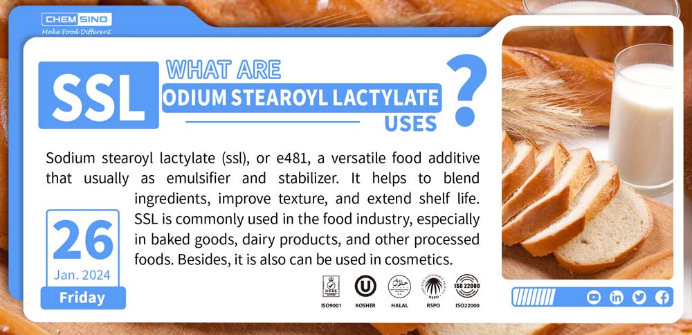 What are sodium stearoyl lactylate(ssl) e481 uses 